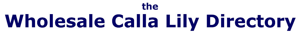 Wholesale Calla Lily Directory